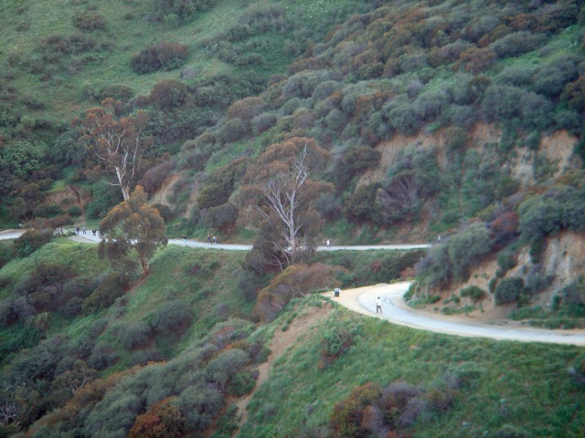 Runyon Canyon Park