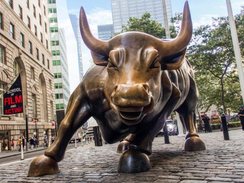 11_Charging_Bull_Closeup.jpg