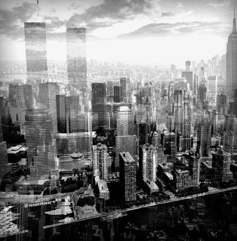 multipics-3L-1785356367072.png