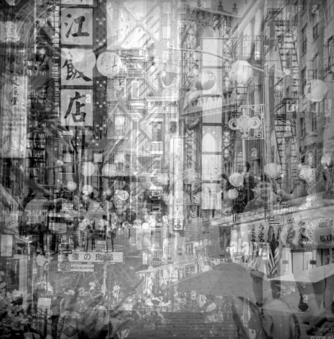multipics-3L-1785356293893.png