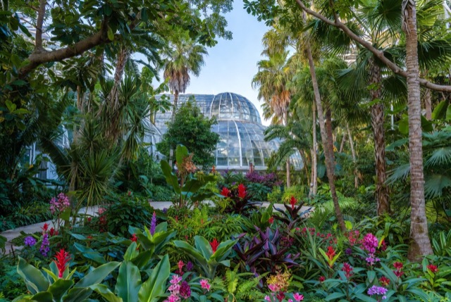 Fairchild Tropical Botanic Garden