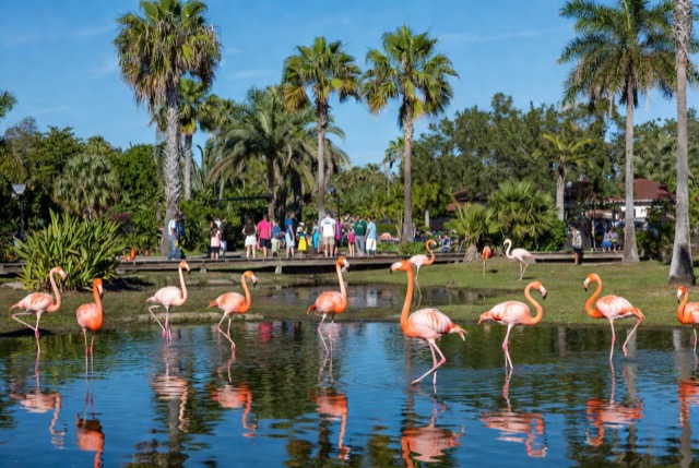 Zoo Miami
