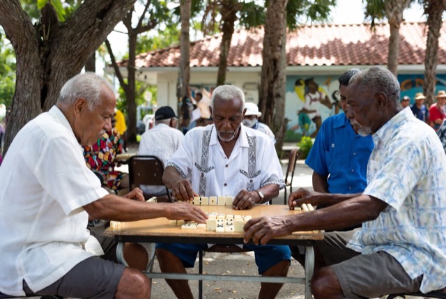 Dominoes Parliament