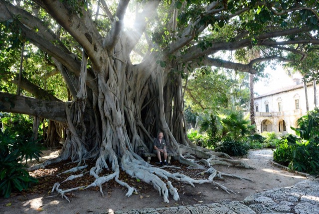 Banyan Sanctuary