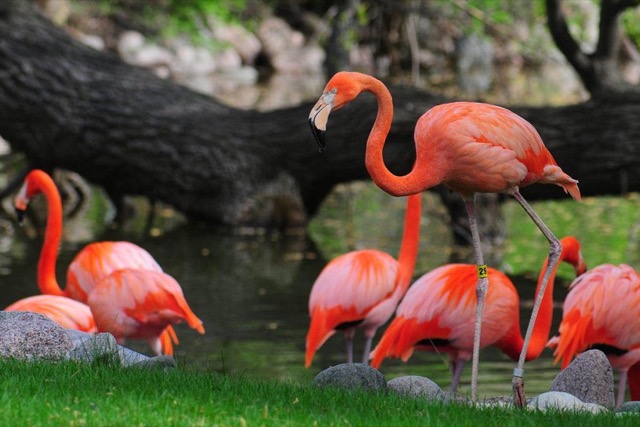 Milwaukee County Zoo