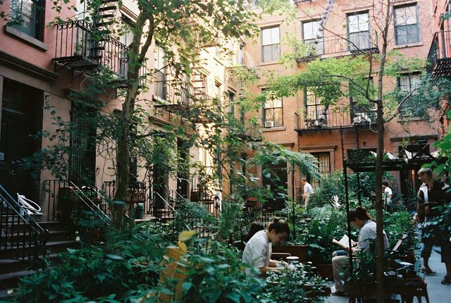 6:20 PM • West Village — Secret Garden Sanctuary: Locals tend plants and read in a lush hidden community garden tucked between brownstones in golden light.