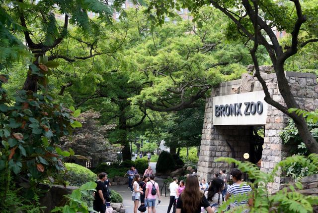 Bronx Zoo
